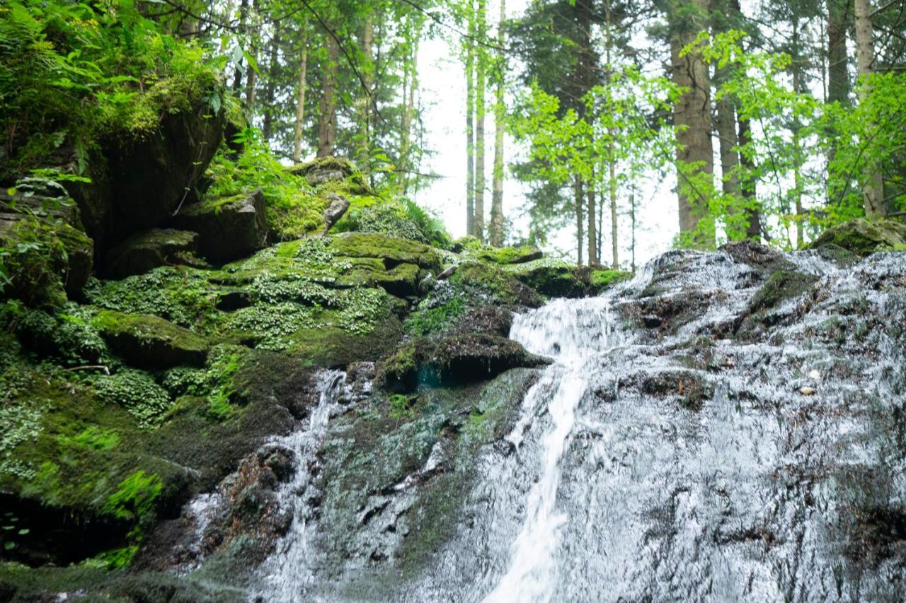 Отель U Dvori Podgorodtsy Экстерьер фото